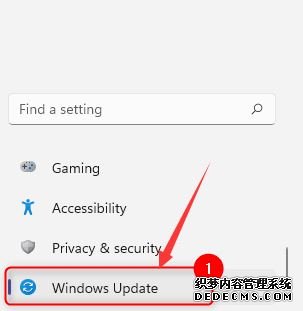 win11怎么更新系统